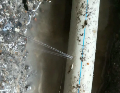 贵港市测漏水哪家好