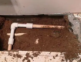 贵港市测漏水哪家好