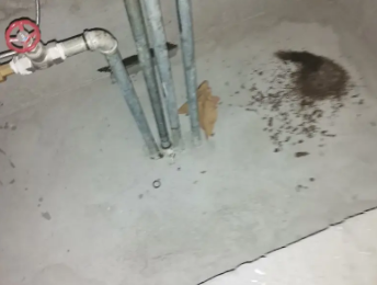 贵港市卫生间测漏水价格明细