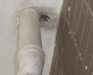 贵港市漏水检测哪家好